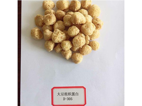 大豆组织蛋白D305